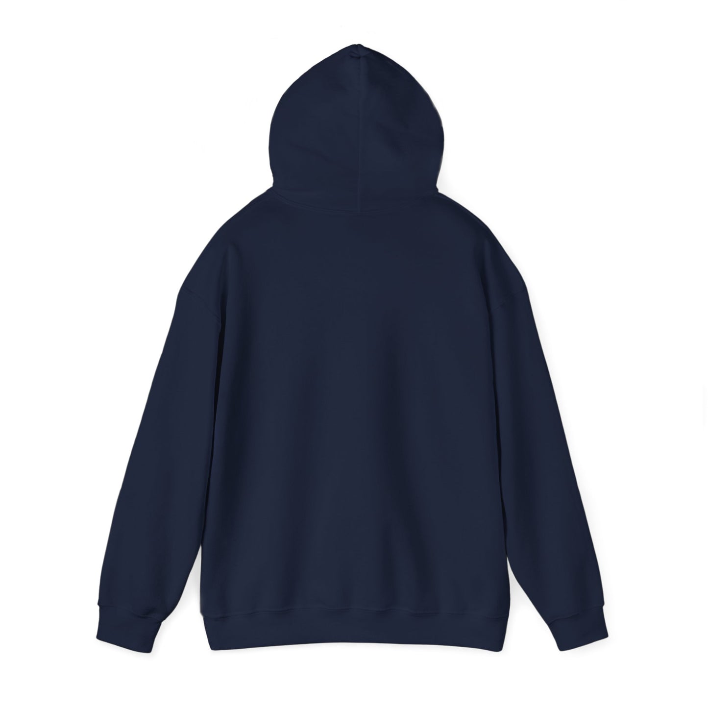 Punjabi Disco Album Cover - Heavy Blend™ Hooded Sweatshirt