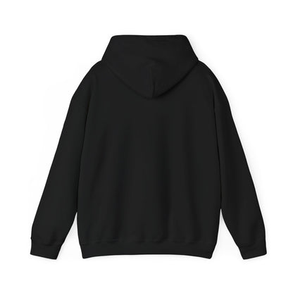 Punjabi Disco Album Cover - Heavy Blend™ Hooded Sweatshirt