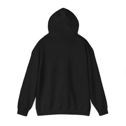 Punjabi Disco Album Cover - Heavy Blend™ Hooded Sweatshirt
