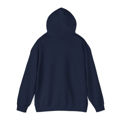 Punjabi Disco Album Cover - Heavy Blend™ Hooded Sweatshirt